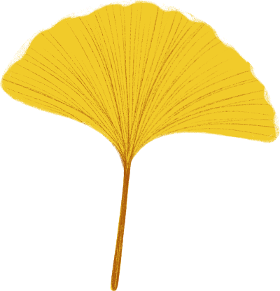 选择本次比, 前到重庆市, com