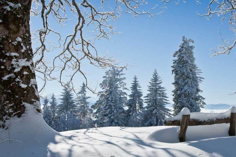 jpeg, 来自LPL jpeg, 来自LPL